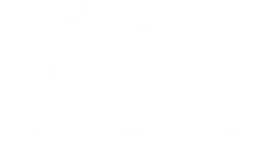 Nowa kolekcja
